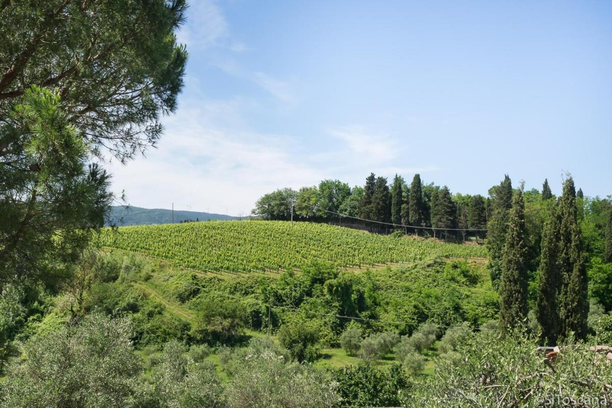 Farm stay Agriturismo Terre Di Toscana