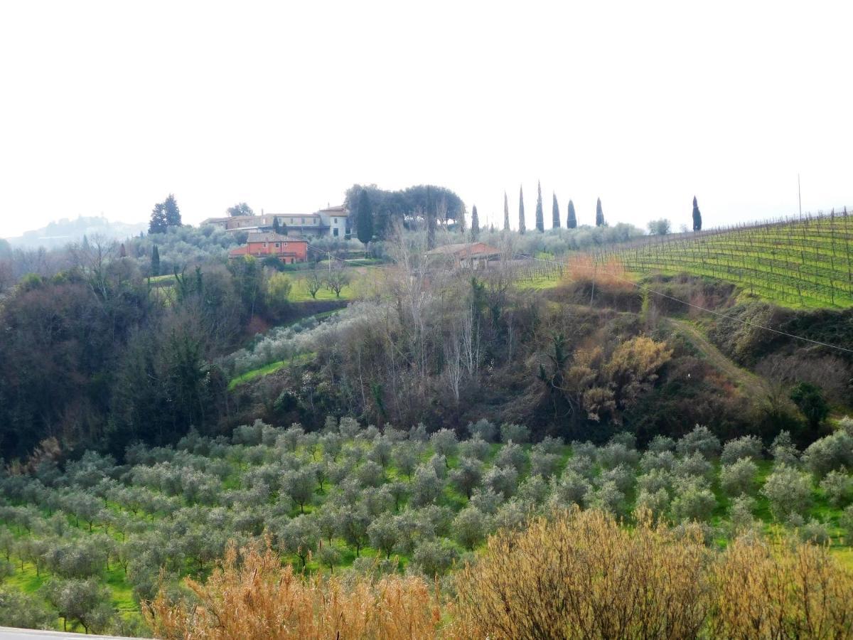 Terre Di Toscana