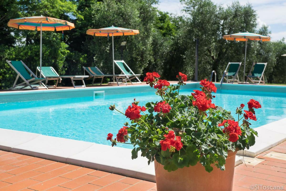 Agriturismo Terre Di Toscana Farm stay *